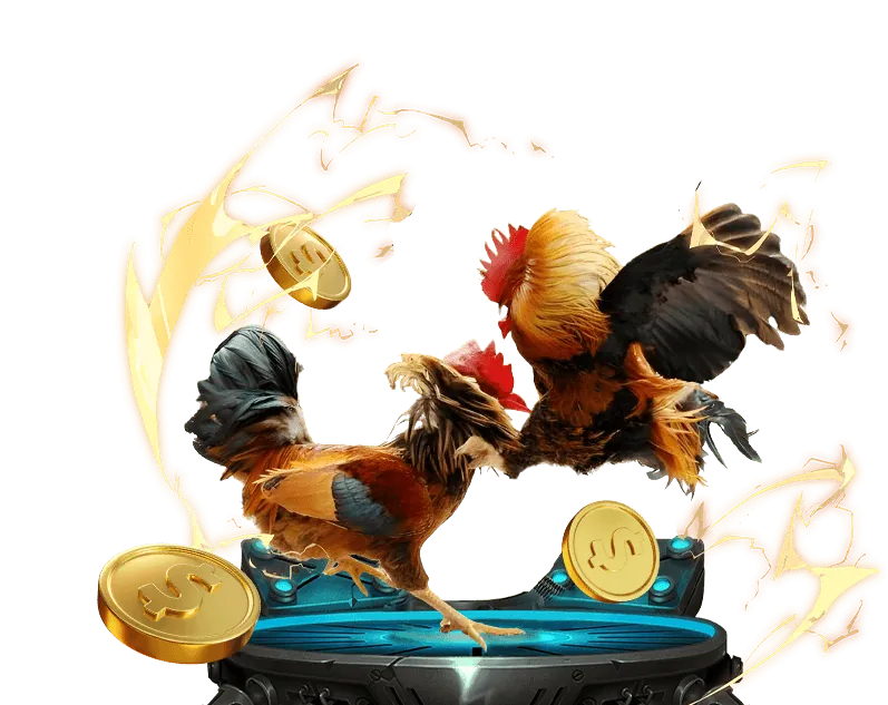 Chiến lược cá cược đá gà Thomo hiệu quả